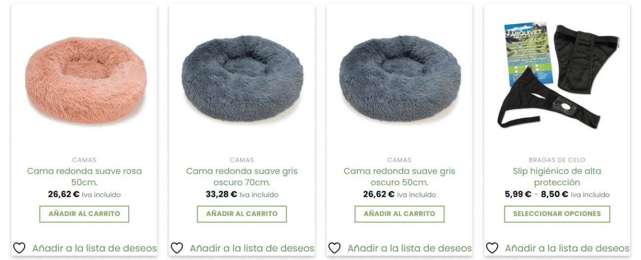 dropshipping ecommerce tienda online ejemplo